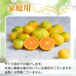 ハウスみかん 1kg+250g(傷み補償) 家庭用 / ハウスミカン  温室みかん 有田みかん 甘い 和歌山 柑橘 ※7月中旬～8月下旬に順次発送 ※北海道・沖縄・離島への配送不可 【ikd002-c-1A】