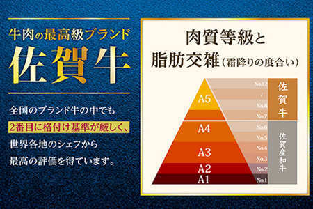 佐賀牛ももスライス400g×2P (800g) (真空冷凍) ｜佐賀牛 和牛 国産牛 高級 ごちそう ギフト グルメ 贅沢 ふるさと納税 ブランド牛 佐賀県 鹿島市 お取り寄せ 牛肉好き必見 鹿島 もも ももスライス ジューシー 牛肉 贅沢な食事　D-232
