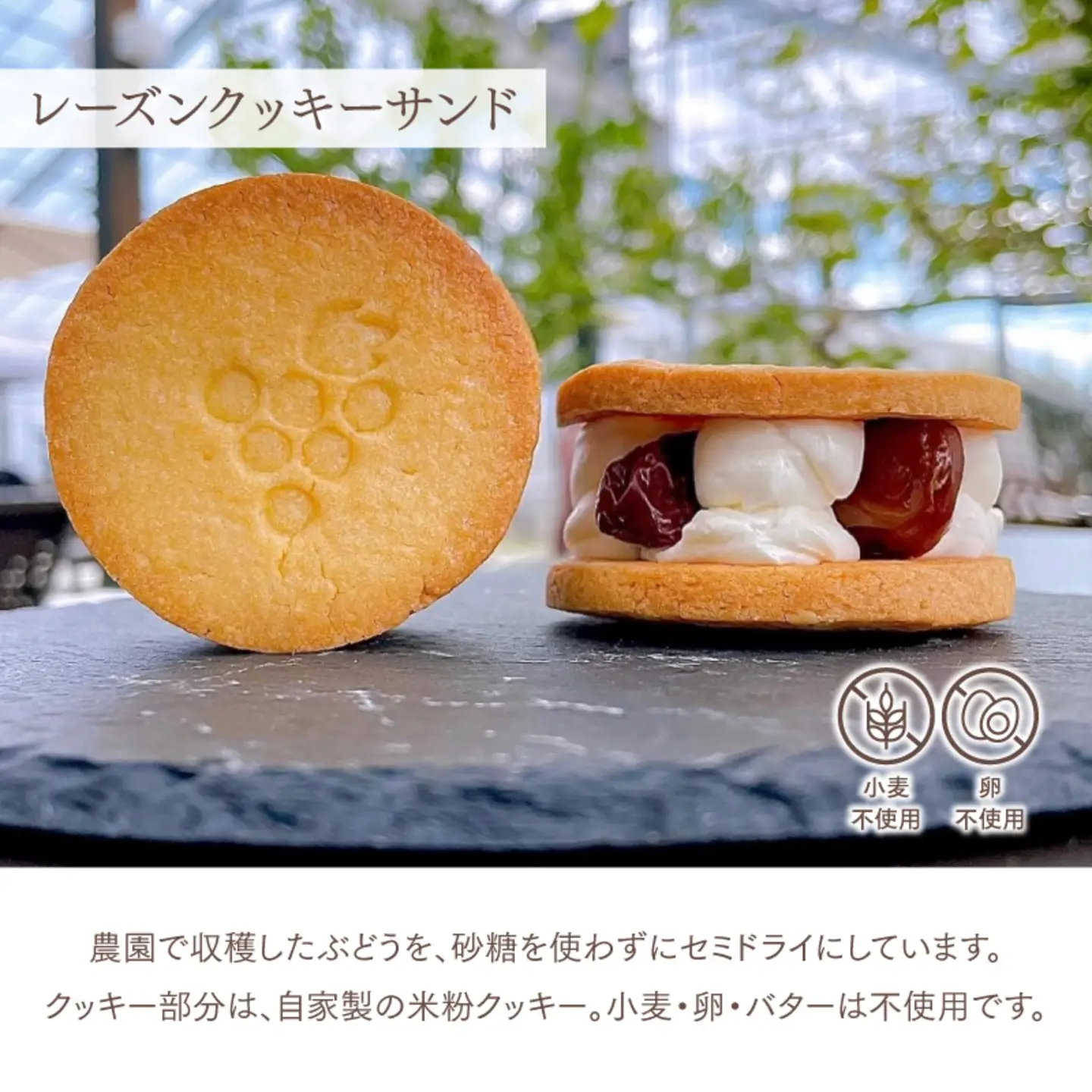 レーズンクッキーサンドとシフォンケーキのセット