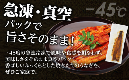 国産うなぎ & 温室メロン 農家直送 セット 鰻