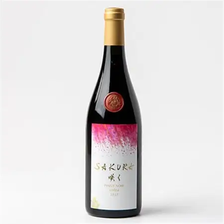 【数量限定】佐倉産初のワイン!ピノ・ノワール2023　750ml×1本【配送不可地域：離島】【1637206】