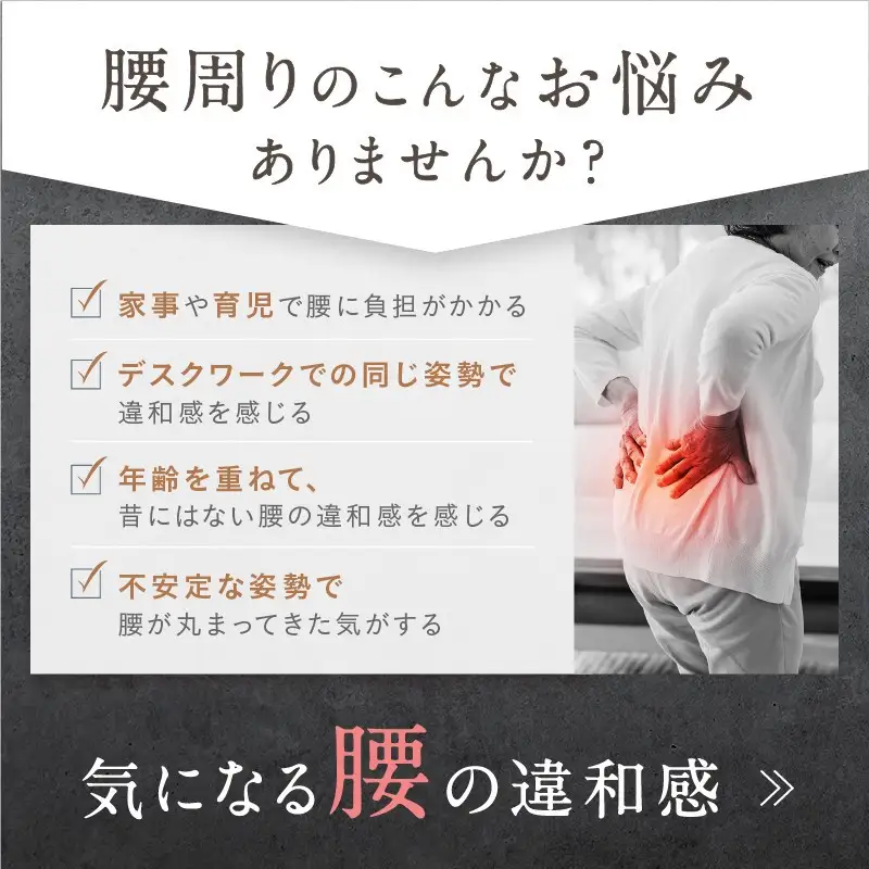 NIPLUX 腰ケア WAISTUPREMS | 1年保証 取扱説明書付き EMS 腰ケア ストレッチャー 温熱 牽引 ウエスタプレミス 骨盤 ストレッチ 腰痛 低周波 サポーター 美容家電 健康家電 日用品 ニップラックス 福岡県 福岡市 人気 おすすめ 送料無料 NP-WR23