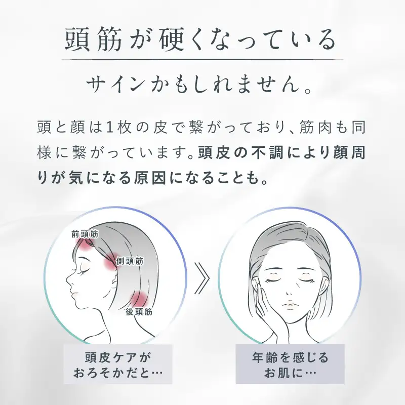 NIPLUX 美顔器 ブラシ型 リフトケア EMS LIFT BRUSH NP-ELB23SV 電気ブラシ リフトアップ 頭皮ケア スカルプ フェイス ボディ 全身 引き締め リフトブラシ 頭皮マッサージ ヘッドマッサージ マッサージ