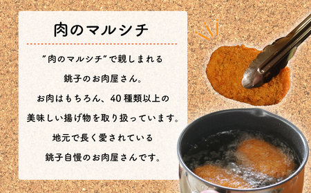 揚げ物セット 計16個 揚げ物