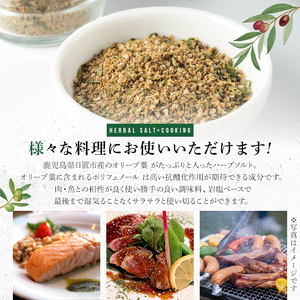 No.1262-B オリーブハーブソルト (50g×2本) オリーブ オリーブ葉 ソルト ハーブソルト 塩 岩塩 セット 詰め合わせ 詰合せ 調味料 箱入り ギフト 贈答 プレゼント 調味料 【鹿児島オリーブ】