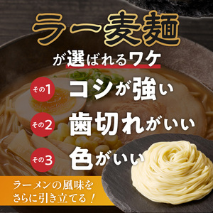 ラー麦麺の味噌ラーメン5食_ラー麦麺 味噌ラーメン 5食 こだわり 生麺 味噌 ラーメン スープ ラー麦 麺 コシ 強い 歯切れ 色 細麺 茹で時間 1分ほど お好み ねぎ チャーシュー トッピング お取り寄せ 福岡県 久留米市 送料無料 〔Br052〕