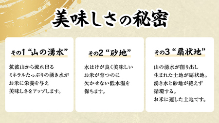 《全3回 定期便》《 令和7年産 先行予約 》 コシヒカリ 「幻の米 羽鳥米」 計 9kg (3kg × 3回) [AX013sa]