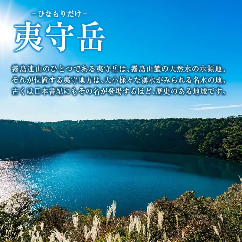【定期便 12か月】 霧島山麓の天然水 590ml×24本入 12回 サンＡ ミネラルウォーター 飲料水 常温保存 宮崎