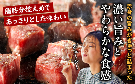 牛肉 宮崎牛 赤身 サイコロステーキ 1kg 牛肉