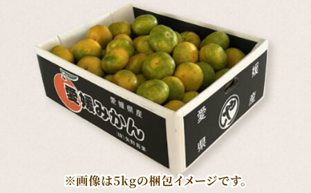 家庭用 極早生 みかん 10kg 矢野青果 温州みかん 果物 くだもの フルーツ 柑橘 蜜柑 愛媛蜜柑 愛媛みかん 愛媛ミカン mikan 産地直送 数量限定 国産 愛媛 宇和島 B024-171024