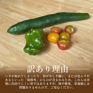 訳あり 野菜 夏野菜 セット 6～8品目 3人～4人用 野菜 夏野菜 野菜 夏野菜