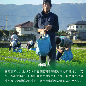 野菜 夏野菜 セット 6～8品目 3人～4人用 野菜 夏野菜 野菜 夏野菜