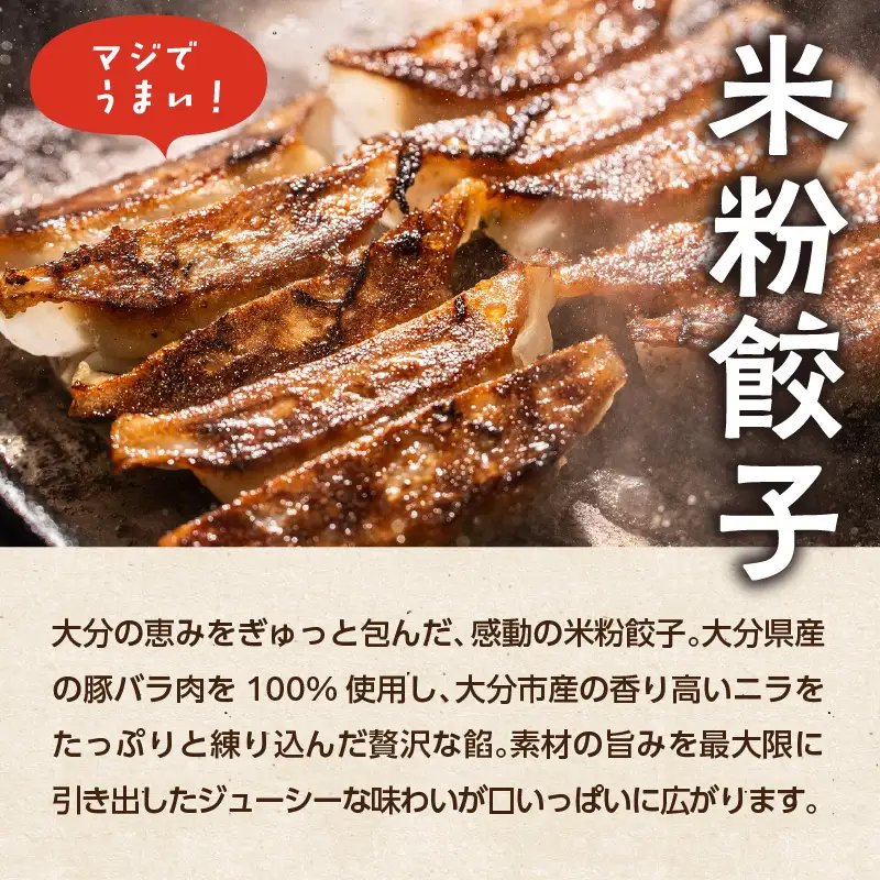 マジでうまい！モチモチすぎるニラ子の米粉ぎょうざ 大分県産豚肉・にら100%使用(ニラ醤油タレ付) 10個入り3パック A02037