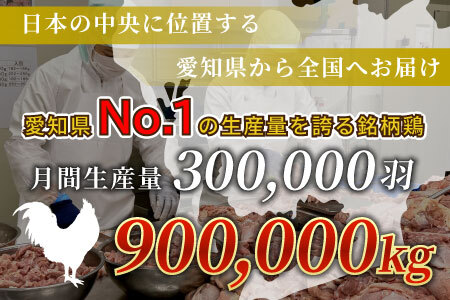 愛知県産 銘柄鶏 奥三河どり 半羽 小分け 約0.9ｋｇ 鶏肉セット 冷凍 生 生鶏 チキン クリスマス パーティー バーベキュー BBQ アウトドア キャンプ ダッチオーブン チキン 鶏肉 鶏 高品質 -214