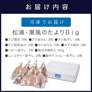 干物セット 10種28枚 サバ イカ アジ カマス 焼きあご レンコダイの干物【B5-118】
