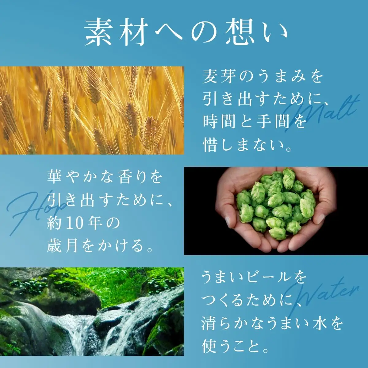 ビール プレミアムモルツ 香るエール プレモル 350ml × 12本 ビール