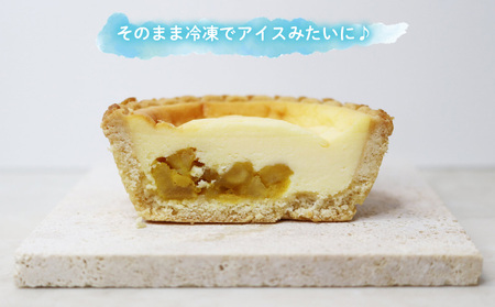 マンゴーチーズタルト　1箱(10個セット) おきぽた チーズタルト マンゴー スイーツ 専門店 OKIPOTA 洋菓子 焼き菓子 タルト生地 果肉 贅沢 高級 人気 おすすめ お土産 ギフト プレゼント 贈り物 沖縄 お取り寄せ