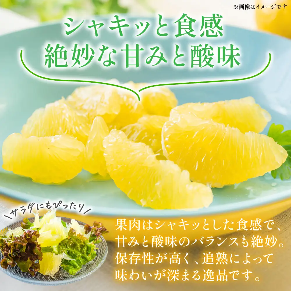 【先行予約】 晩白柚（秀L×2玉）約3kg ばんぺいゆ 果物 果実 くだもの フルーツ 柑橘 柑橘類 熊本県 八代市 【2026年12月中旬より順次発送】