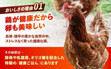 〈数量限定〉【朝採れ直送】小峰鶏園 赤たまご Lサイズ 60個 / 卵 玉子 たまご 卵焼き 玉子焼き 生卵 鶏卵 卵かけごはん / 諫早市 / 小峰鶏園 [AHFB001]