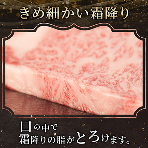 【伊賀忍者ビーフ】肉の横綱　希少な伊賀牛　サーロイン　200g×2枚　ステーキ　霜降り肉　三重県　名張市　冷蔵　チルド