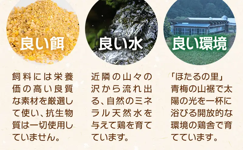 【定期便】かわなべ鶏卵農場のこだわりのたまごもみじたまご30個6ヶ月連続お届け/こだわり 国産 青梅市産 鶏 鳥 卵 たまご タマゴ 玉子 朝食 卵かけご飯 ＴＫＧ ゆでたまご 赤玉 卵黄 卵白 健康 定期便 青梅市