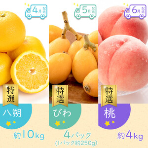 【全12回】《プレミアム等級選果実！》坂出市四季のオススメ！旬果実単品定期便♪