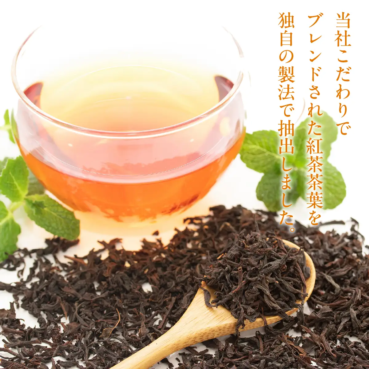 メトロ　無糖紅茶 ALPFC003