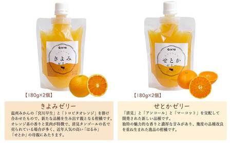フルーツゼリー ちゅるちゅるゼリー 柑橘 4種 合計9個 セット みかん 甘平 きよみ せとか 柑橘王国愛媛 永久堂