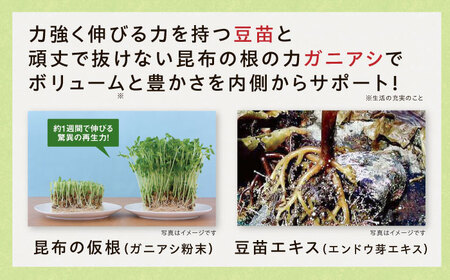 【12箱入　360日分】いとびはつ はぐくむ青汁 糸島市 / 株式会社ピュール [AZA267]
