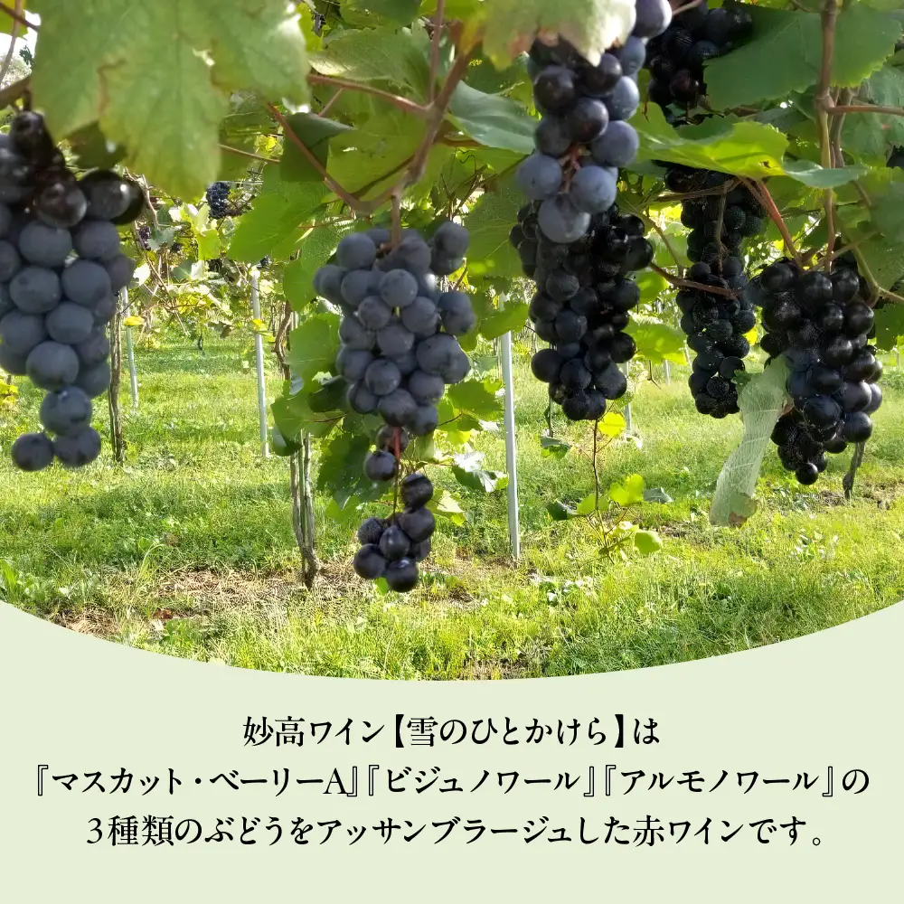 妙高ワイン【雪のひとかけら 2024】 数量限定