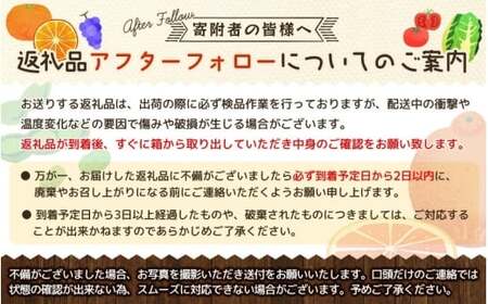 【全4回】和歌山旬のカンキツ定期便【L】3・5・9・11月発送（ご家庭用）※北海道・沖縄県・離島への配送不可 / 春の柑橘 初夏の柑橘 青切り 有田みかん 完熟有田みかん フルーツ くだもの 果物【ard-tkb907】