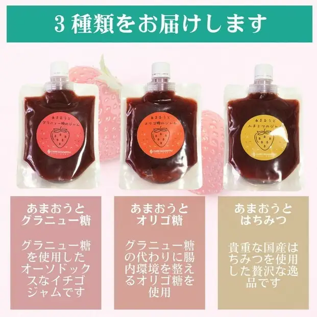 3種類のいちごジャム 無添加 あまおうイチゴ 200g×3袋 手作り 国産 チューブ パウチ入り | 食品 加工食品 人気 おすすめ 送料無料