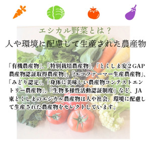 エシカル野菜5種とお米のセット 野菜セット