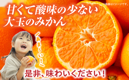 【先行受付】大玉みかん 約4.5kg | 大玉みかん 大玉 みかん ミカン 蜜柑 オレンジ 柑橘 柑橘系 果物 フルーツ 青果 おすすめ お取り寄せ ギフト 香川県 三木町 |_mk006-055