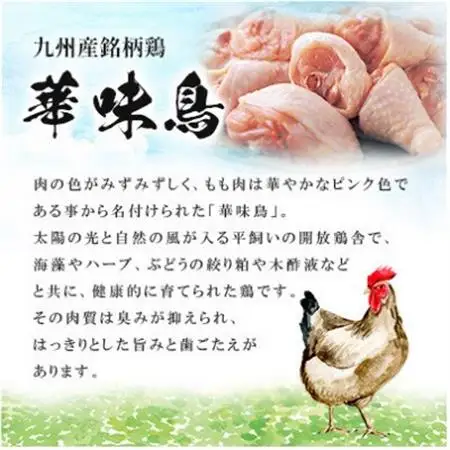 博多華味鳥 水たきセット 6～8人前(大牟田市)【配送不可地域：離島】【1642676】