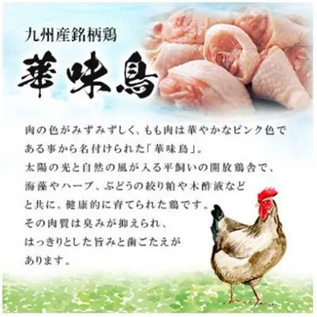 博多華味鳥 水たきセット 3～4人前 柚胡椒付(大牟田市)【配送不可地域：離島】【1642690】