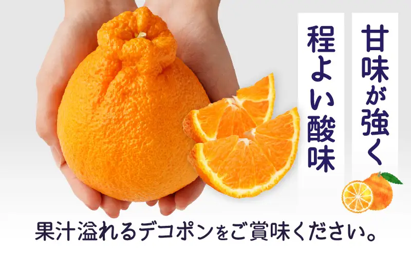 【先行予約】ハウスデコポン約3kg（8-16玉）【香川県共通返礼品】 | デコポン 甘い 酸味 柑橘 柑橘系 果物 フルーツ 青果 デザート グルメ おすすめ 贈答 贈り物 贈答用 ギフト プレゼント 特産品 特産 取り寄せ 香川県 三木町 |_mk006-057