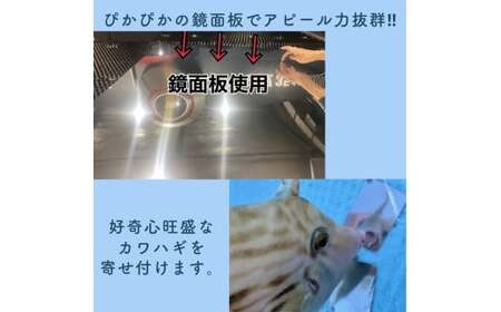 カワハギ集寄板　「カワハギさん寄っといで」2枚入り10セット