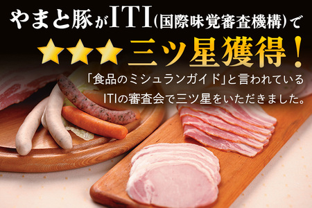 フリーデン やまと豚 ナチュラル無えんせきセット ( ウインナー チョリソー ベーコン ハム ) [0365]