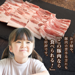 【ふるなび限定】クリスタルポーク焼き肉2kg　FN-Limited-PR