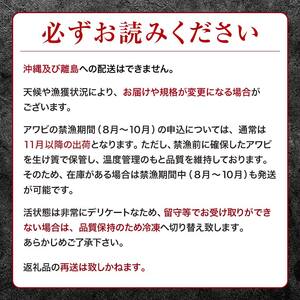 中泊直送 天然 ”活” 黒あわび 約500g 【卓立水産】 F6N-019