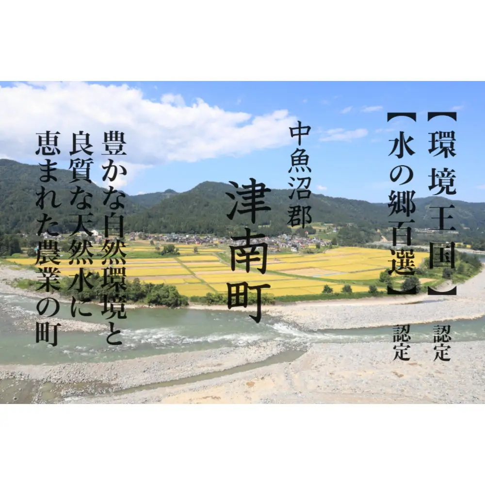 《 特A 一等米 》 令和7年産 魚沼産 コシヒカリ 5kg新潟　新潟県　こしひかり　魚沼　特A地区　5キロ