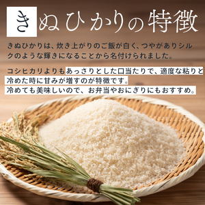 《令和7年》みはら高原米 浮城 ～ きぬひかり ～ 白米（精米）10kg お米 米 白米 ごはん ご飯 広島県 三原市 220014