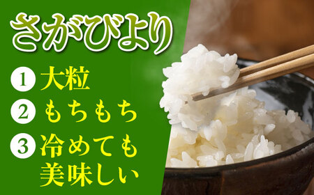 令和7年産 ななしま家 さがびより 5kg / 白米 特別栽培 / 佐賀県 / 有限会社七島農産 [41AHAC002]