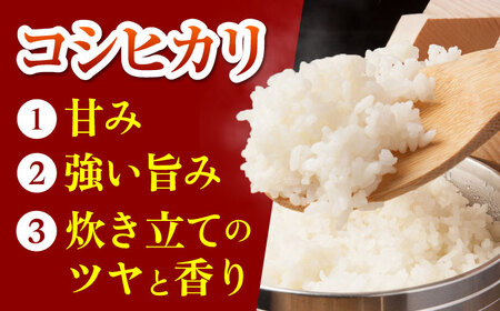 【全5回定期便】令和7年産 ななしま家 コシヒカリ 5kg / 白米 特別栽培 白米 / 佐賀県 / 有限会社七島農産 [41AHAC007]