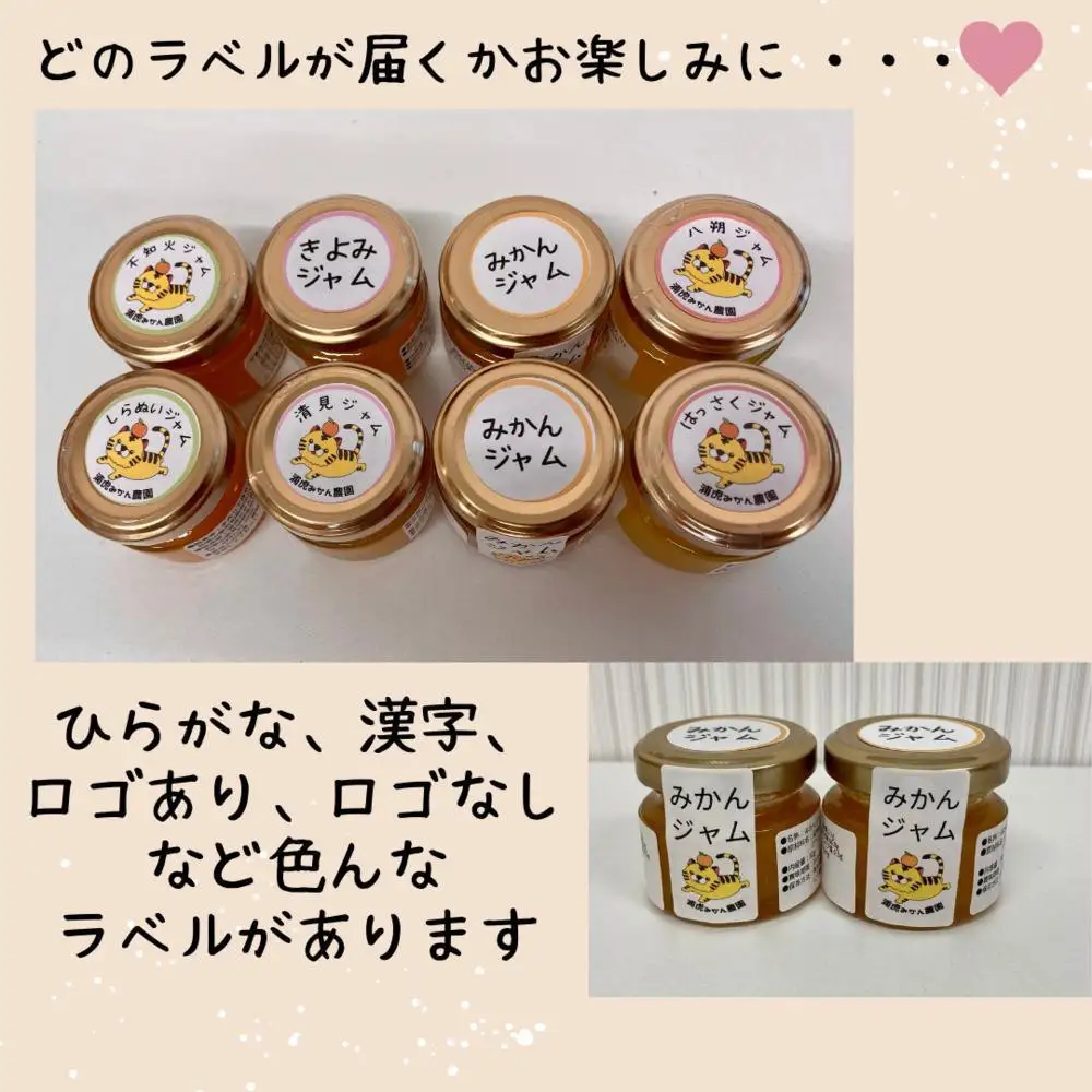 ［2026年3月以降順次発送］数量限定！店主にお任せ 無添加 柑橘ジャム140g×3個