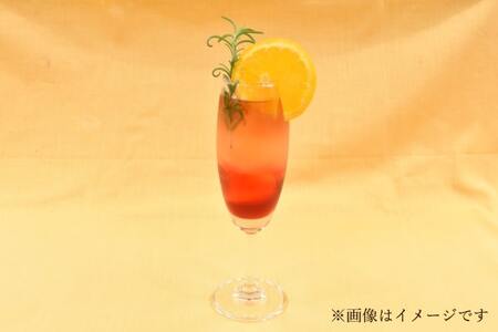 三井農林 WN(ホワイトノーブル紅茶) 無糖アイスティー 1L×6本 アイスティー 無糖 紅茶 ホワイトノーブル 1L 1000ml×6本 紙パック アレンジティー 飲料 日東紅茶 業務用 優雅 贅沢 ティータイム 山梨県 北杜市 [h347]
