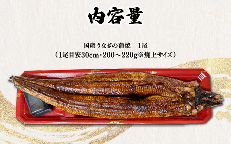 ＜凍らさず美味しさそのまま！〆たて・焼きたてを冷”蔵”で発送＞地元飲食店に愛される美味さにこだわった 国産うなぎの蒲焼き (1尾) ふるさと納税 福知山市 特上 うなぎ 蒲焼 ウナギ 鰻蒲焼き うなぎ蒲焼き 1尾 人気 国産 浜名湖 関西 鰻蒲焼 養殖 冷蔵 ギフト ご褒美 京都 【fc-ZF001-A】【由良川漁業協同組合】