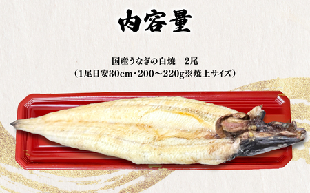 ＜凍らさず美味しさそのまま！〆たて・焼きたてを冷”蔵”で発送＞地元飲食店に愛される美味さにこだわった 国産うなぎの白焼き (2尾) ふるさと納税 福知山市 特上 うなぎ 蒲焼 ウナギ 鰻蒲焼き うなぎ蒲焼き 白焼き 2尾 人気 国産 浜名湖 関西 鰻蒲焼 養殖 冷蔵 ギフト ご褒美 京都 【fc-ZF002-B】【由良川漁業協同組合】