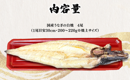 ＜凍らさず美味しさそのまま！〆たて・焼きたてを冷”蔵”で発送＞地元飲食店に愛される美味さにこだわった 国産うなぎの白焼き (4尾) ふるさと納税 福知山市 特上 うなぎ 蒲焼 ウナギ 鰻蒲焼き うなぎ蒲焼き 白焼き 4尾 人気 国産 浜名湖 関西 鰻蒲焼 養殖 冷蔵 ギフト ご褒美 京都 【fc-ZF002-D】【由良川漁業協同組合】